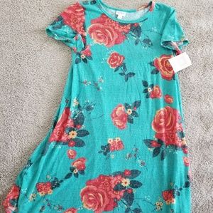 LuLaRoe Floral Carly Dress